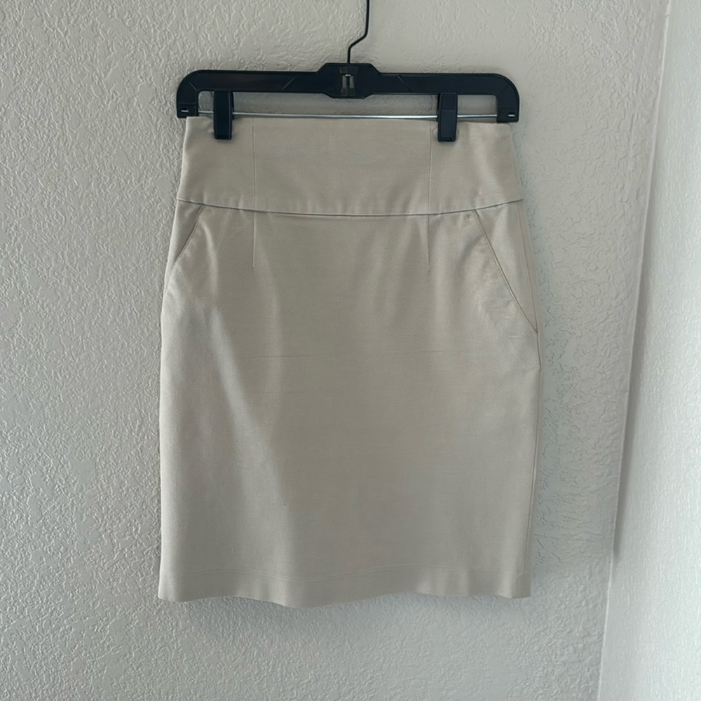 Banana Republic skirt